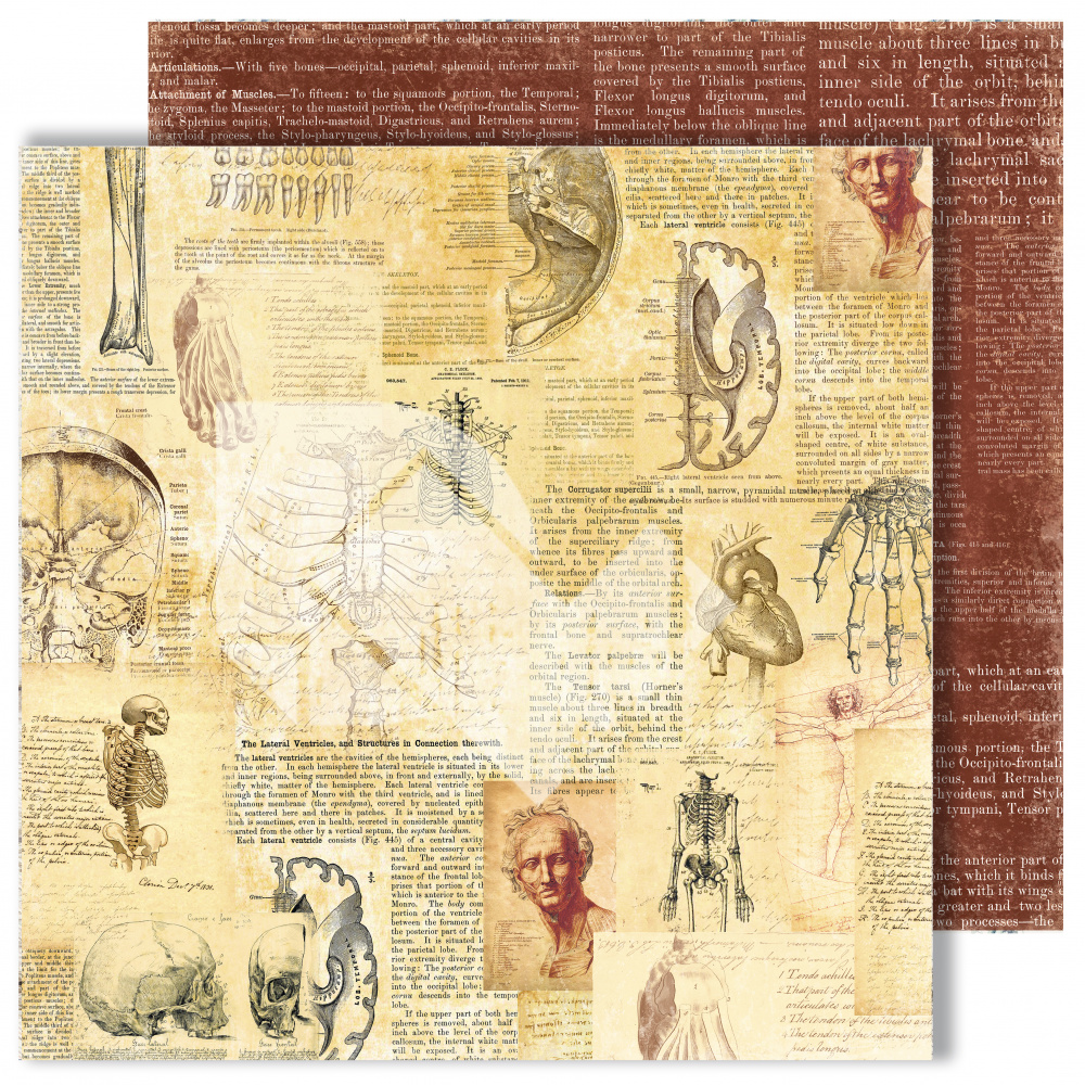 картинка Лист двусторонней бумаги "Письмена" из коллекции "Homo sapiens", 30,5х30,5 см, пл. 250 г/м от магазина Компания+