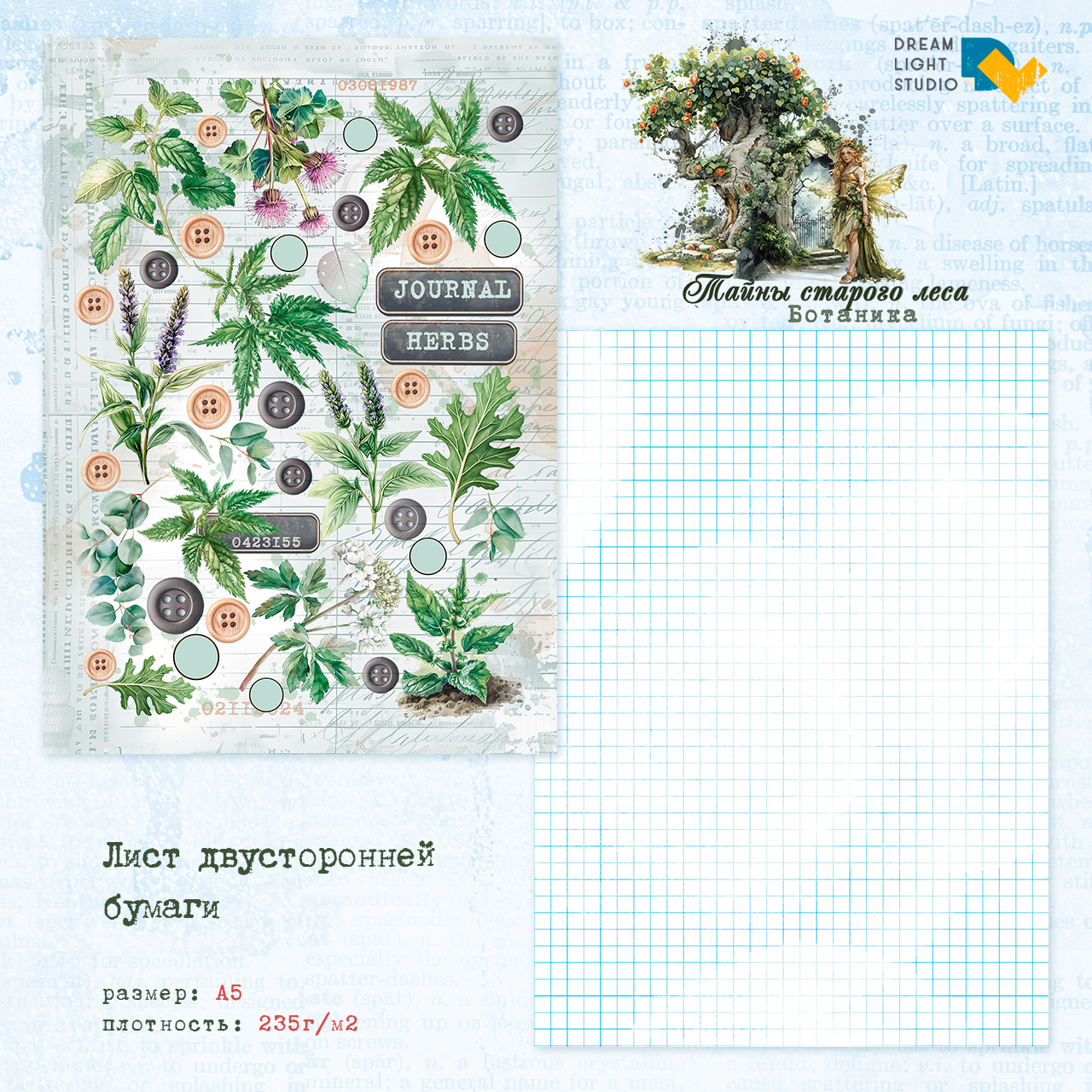 картинка Мега сет 60 листов "Тайны старого леса: Ботаника" DL0038-set, A5, 6x10 двусторонних листов, пл. 235 г/м2 от магазина Компания+