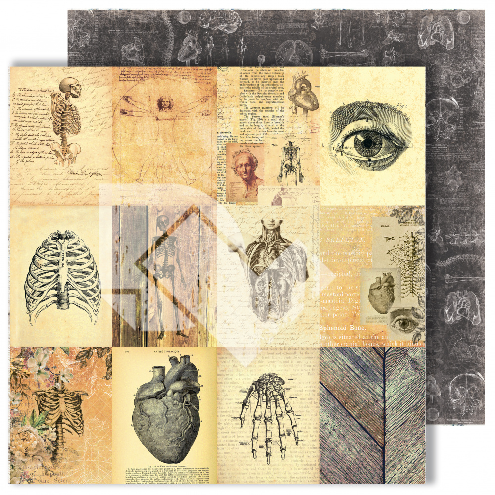 картинка Лист для вырезания "Карточки" из коллекции "Homo sapiens", 30,5х30,5 см, пл. 250 г/м от магазина Компания+