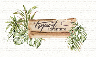 Tropical adventure