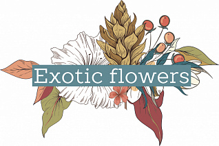 Exotic Flowers