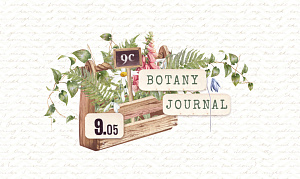 Botany journal